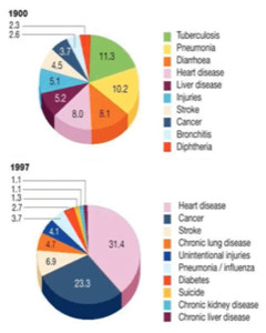 Twee cirkeldiagrammen met een vergelijking van het percentage ziektes waar mensen in 1900 aan stierven in vergelijking met 1997